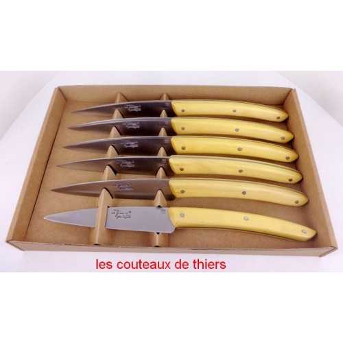 COUTEAUX LE THIERS® PLEIN MANCHE 6 COULEURS 6 COUTEAUX DE TABLE EN COFFRET  CARTON