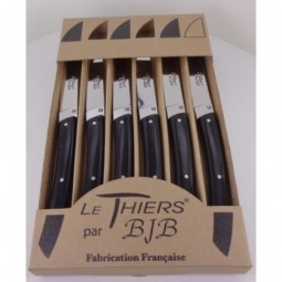 Coffret 6 couteaux de table Le THIERS® , resine NOIR UNI LES COFFRETS