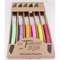 Coffret de 6 couteaux Le Thiers de table plexi couleurs été LES COFFRETS