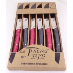 coffret 6 couteaux Le THIERS de table manche plexi noir et rouge LES COFFRETS