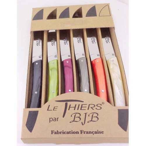 coffret 6 couteaux de table Le THIERS manche en plexi automne LES COFFRETS