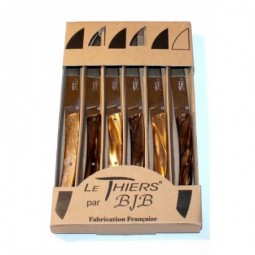 Coffret 6 couteaux de table Le THIERS® , resine couleur CHOCOLAT LES COFFRETS
