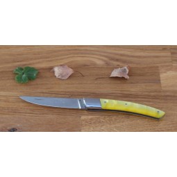 Couteau Le Thiers® pliant , 10 cms , manche en resine jaune COUTEAUX DE POCHE PLIANTS